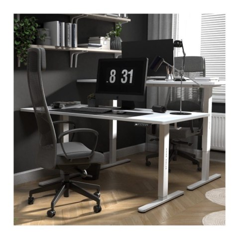 Biurko elektryczne Leader 7.6 White 160 cm
