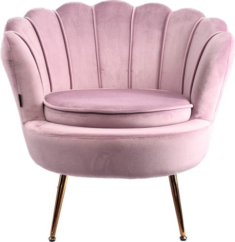 Lugano Krzesło Fotel Muszla Lugano DONNA VELVET PINK
