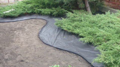 Agrowłóknina Czarna P-50 UV 0,8m x 1mb GF Agro