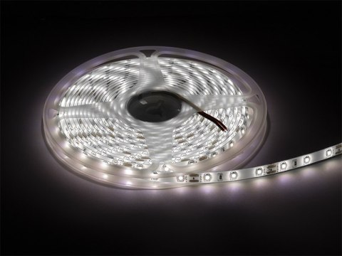 70-731# Taśma led biały zimny 2835 5m/300wodoodporna