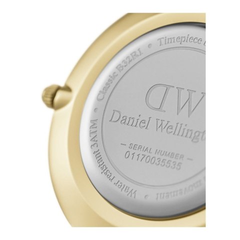 Daniel Wellington ZEGAREK DAMSKI DANIEL WELLINGTON DW00100347 - PETITE EVERGOLD 32mm (zw500e)