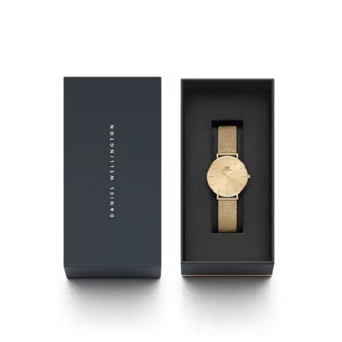 Daniel Wellington ZEGAREK DAMSKI DANIEL WELLINGTON DW00100347 - PETITE EVERGOLD 32mm (zw500e)