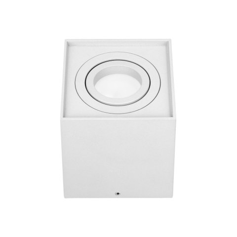 CAROLIN DLS GU10 downlight max 7W, IP20, kwadrat, biały