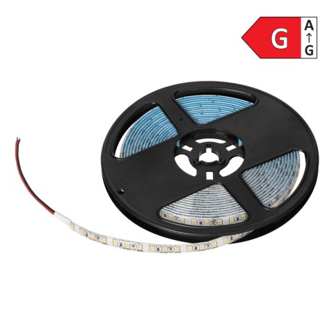 Taśma LED 12V, 2835, 120L/m, 760lm/m, 9,6W/m, IP63, 6000K, 5m