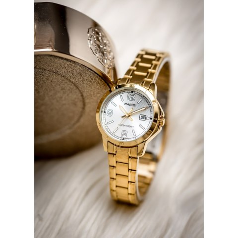 Casio Zegarek Casio Damski LTP-V004G-7B2 (zd642b) + BOX