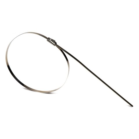 Opaski zaciskowe metalowe ze stali nierdzewnej 4.6x200mm 100 szt. amio-04321