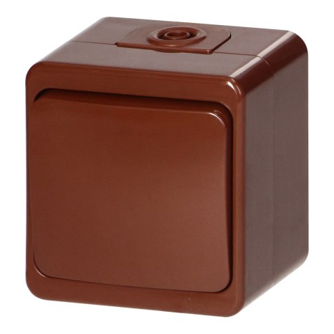 Łącznik n/t 10A, 250V, 1-biegunowy IP44, SMART, brązowy