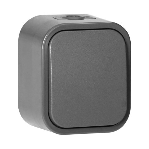 Łącznik n/t jednobiegunowy B2, 10A, 250V, IP54, WNT-1B2, szary