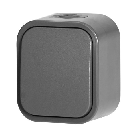 Łącznik n/t jednobiegunowy B2, 10A, 250V, IP54, WNT-1B2, szary