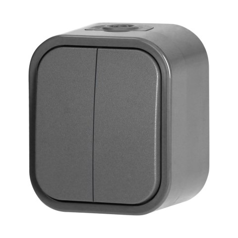 Łącznik n/t świecznikowy B2, 10A, 250V, IP54, WNT-2B2, szary