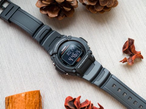 Casio Zegarek Męski Casio W-219H-8BVEF (zd207g) + BOX