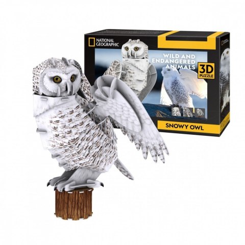 Puzzle 3d puchacz śnieżny
