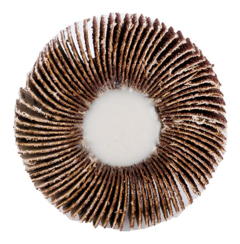 Ściernica listkowa trzpieniowa 60 x 15 x 6 mm, P80