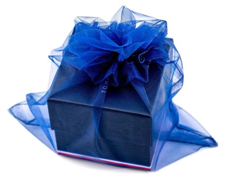 Tommy Hilfiger ZEGAREK MĘSKI TOMMY HILFIGER TYSON 1710590 (zf100c) + BOX