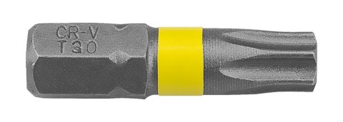 Zestaw bitów SL3/4/5/6, PH1/2/3, PZ1/2/3, TX10/15/20/25/27/30 x 25 mm, 16 szt.