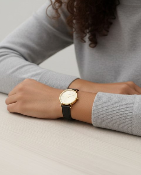 Timex ZEGAREK DAMSKI TIMEX TW2W84600 + BOX