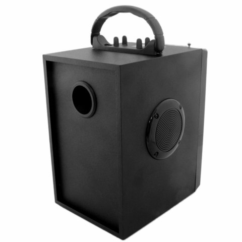 ZS53A Głośnik bluetooth radio + pilot