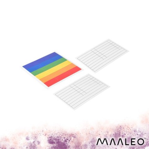 Teczka na dokumenty 13 przegródek Maaleo 27227 MAALEO