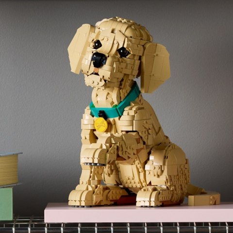 Klocki icons 11384 szczeniak golden retriever LEGO