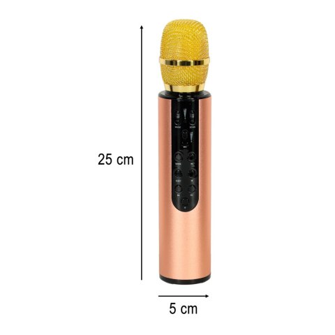 Mikrofon bezprzewodowy karaoke dla dzieci głośnik Bluetooth 2000mAh karta SD USB wysoka jakość złoty Kik Sp. z o. o. Sp. k.