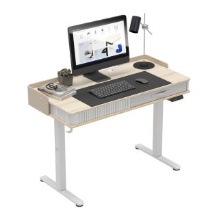 Biurko elektryczne Leader 8.0 White 120 cm