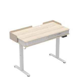 Biurko elektryczne Leader 8.0 White 120 cm