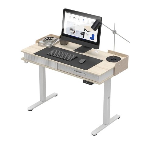 Biurko elektryczne Leader 8.0 White 120 cm