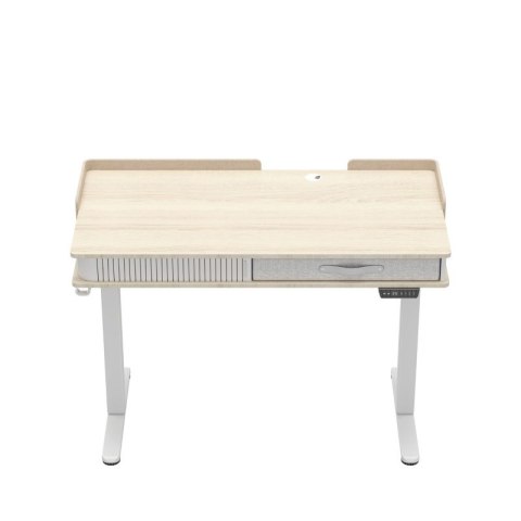 Biurko elektryczne Leader 8.0 White 120 cm