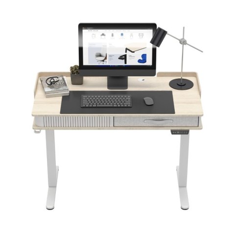Biurko elektryczne Leader 8.0 White 120 cm