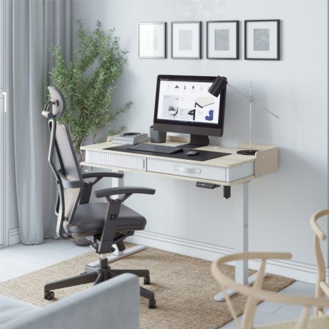 Biurko elektryczne Leader 8.0 White 120 cm