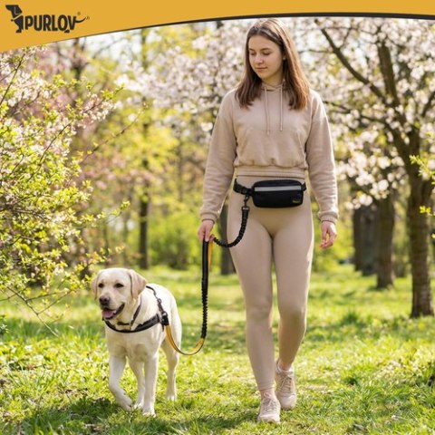 Pas biodrowy ze smyczą Purlov 24689 PURLOV