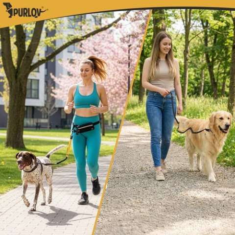 Pas biodrowy ze smyczą Purlov 24689 PURLOV