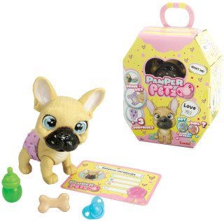 Pamper Petz - Buldog Francuski Simba