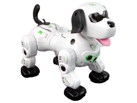 Piesek Robot Interaktywny Zdalnie Sterowany LEAN TOYS