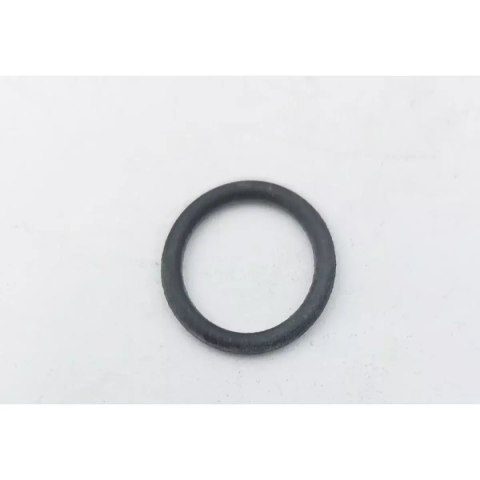 O-ring Dedra