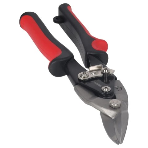 Nożyce do blachy crv, 250mm Dedra