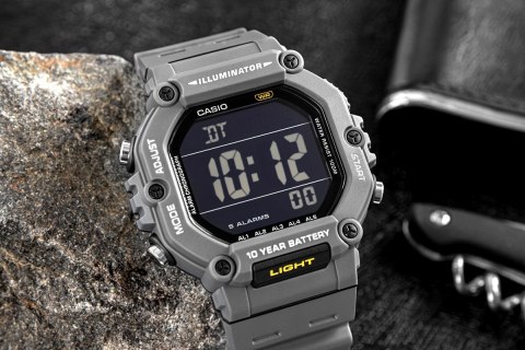 Casio ZEGAREK MĘSKI CASIO AE-1600H-8BVDF + BOX (zd300c)