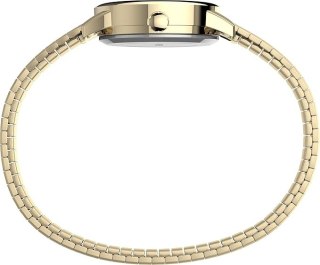 Timex ZEGAREK DAMSKI TIMEX T2H351 (zt601a)