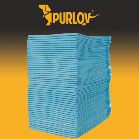Podkład higieniczny 60x60cm 50szt. Purlov 21600 PURLOV