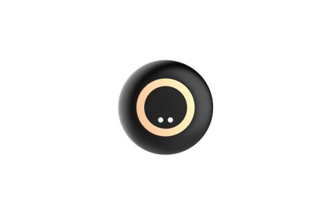 Masażer prostaty silikonowy 10 funkcji USB z pilotem B-Series Magic