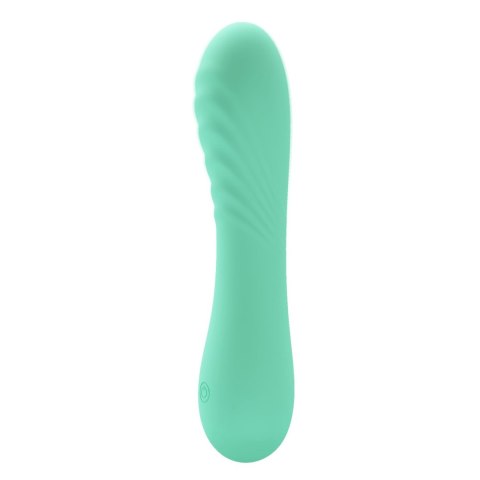 Wibrator silikonowy Pretty Love Alexisrose 10 funkcji wibracji