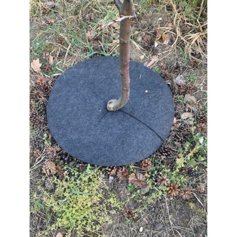 Zestaw krążków antychwastowych 3 szt., Bertoni - 40 cm, szary Bertoni