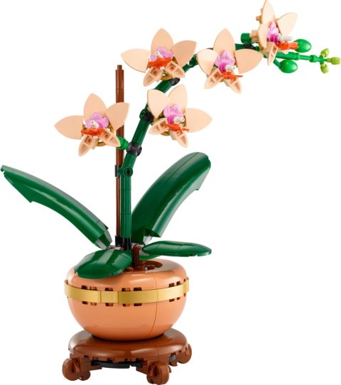 10343 | Mała Orchidea LEGO