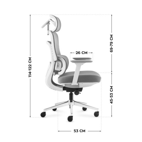 Fotel biurowy z masażem Visioner 6.1 Grey