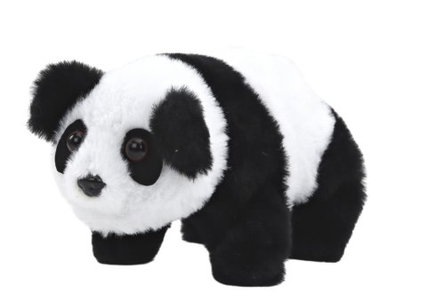 Panda Interaktywna Pluszowa W Transporterze Różowy Niebieski LEAN TOYS