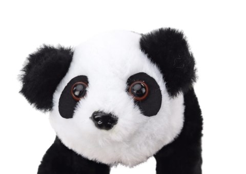 Panda Interaktywna Pluszowa W Transporterze Różowy Niebieski LEAN TOYS