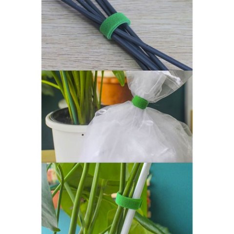 Rzep- taśma ogrodnicza 5m Gardlov 25362 GARDLOV