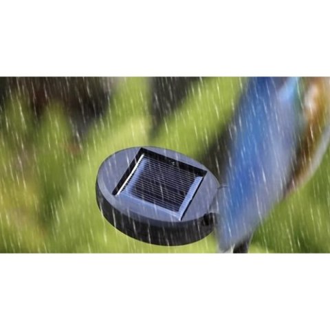 Lampa solarna paw Gardlov 25281 GARDLOV