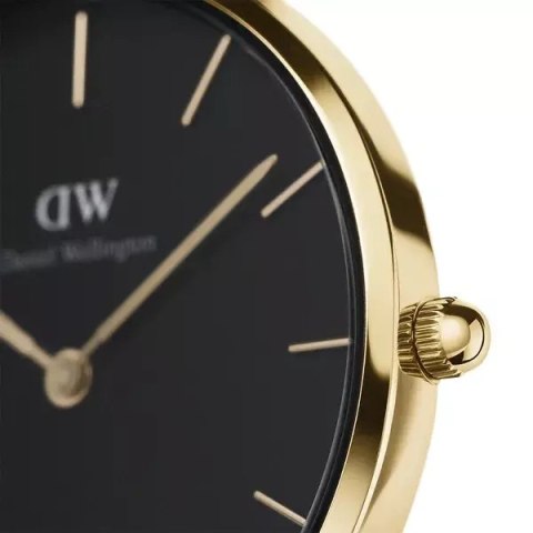 Daniel Wellington ZEGAREK DAMSKI DANIEL WELLINGTON DW00100345 - PETITE EVERGOLD 36mm (zw500f)