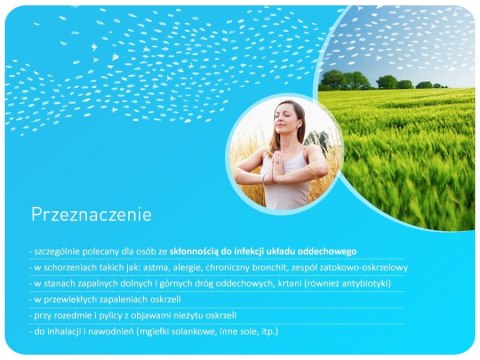 Inhalator dla dzieci Promedix, krówka, zestaw nebulizator, maski, filterki, PR-810 ProMedix
